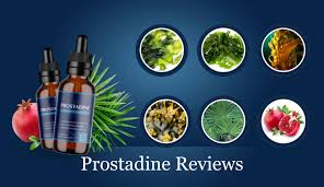 Prostadine supplement bottle with text: 'Prostadine Reviews: Complete Evaluation & Benefits